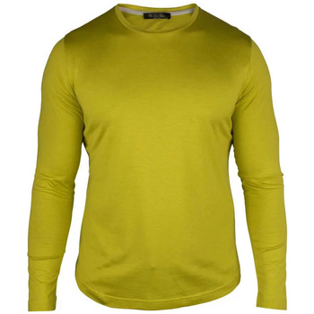 Abbigliamento Uomo T-shirt & Polo Loro Piana  Verde