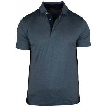 Abbigliamento Uomo T-shirt & Polo Loro Piana  Blu