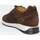 Scarpe Uomo Sneakers Antica Cuoieria SNEAKERS UOMO 22570-C Marrone