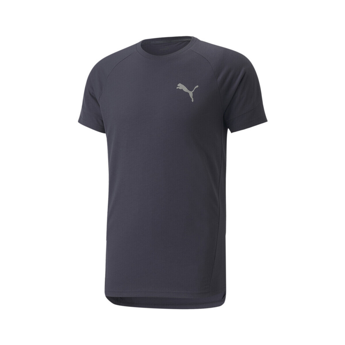 Abbigliamento Uomo T-shirt & Polo Puma 847394-43 Blu