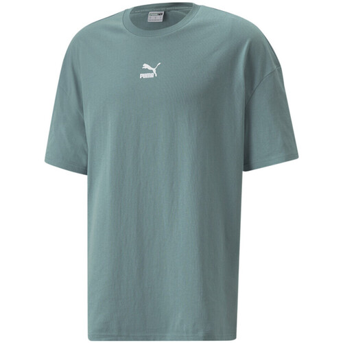 Abbigliamento Uomo T-shirt & Polo Puma 532135-50 Verde