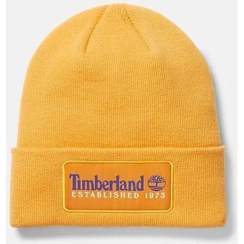 Accessori Cappelli Timberland TB0A2PTD ESTABLISHED 1973-804 ORANGE Arancio