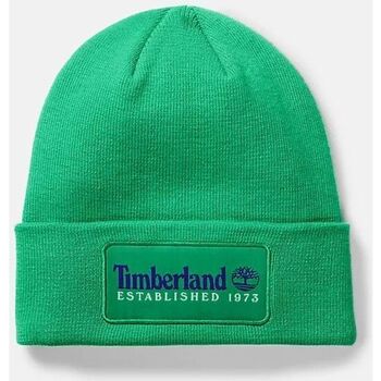 Accessori Cappelli Timberland TB0A2PTD ESTABLISHED 1973-H31 CELTIC GREEN Verde
