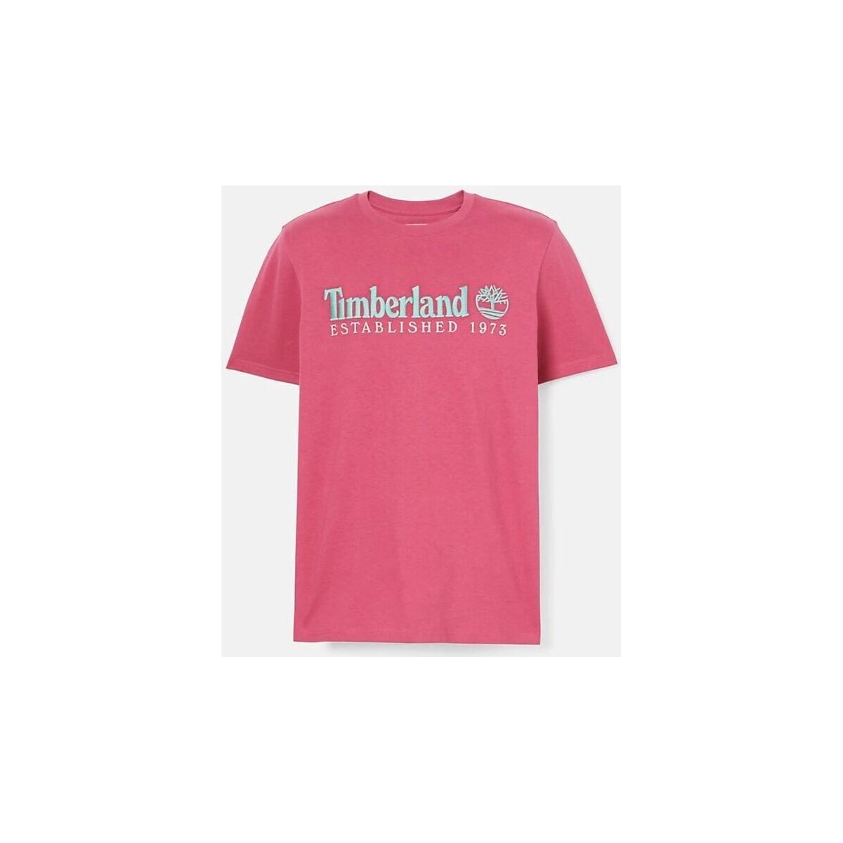 Abbigliamento Uomo T-shirt & Polo Timberland TB0A6SE1 SS EST. 1973 CREW TEE-ED2 VIVACIOUS WB Viola