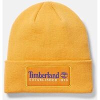 Accessori Cappelli Timberland TB0A2PTD ESTABLISHED 1973-804 ORANGE Arancio