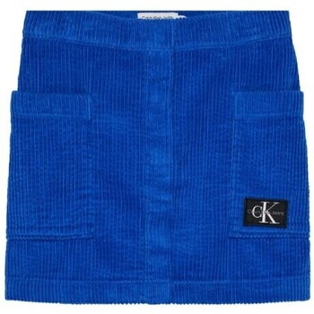 Abbigliamento Bambina Gonne Calvin Klein Jeans GONNA VELLUTO IG0IG02184 Blu