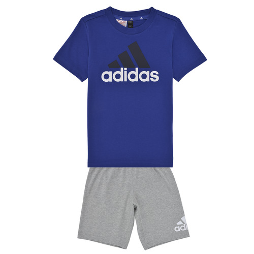 Abbigliamento Bambino Tuta Adidas Sportswear LK BL CO T SET Blu / Grigio