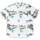 Abbigliamento Uomo Camicie maniche corte Obey Fishbowl Woven Bianco Bianco