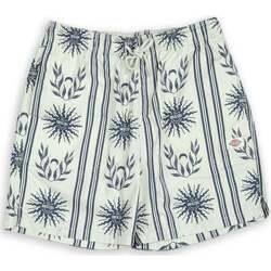 Abbigliamento Uomo Shorts / Bermuda Dickies Kelso Short Celadon Verde