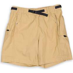Abbigliamento Uomo Shorts / Bermuda The North Face Ripstop  Easy Short Beige