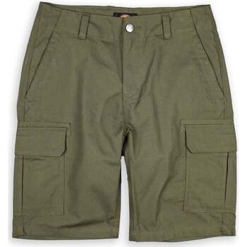 Abbigliamento Uomo Shorts / Bermuda Dickies Millerville Verde Verde
