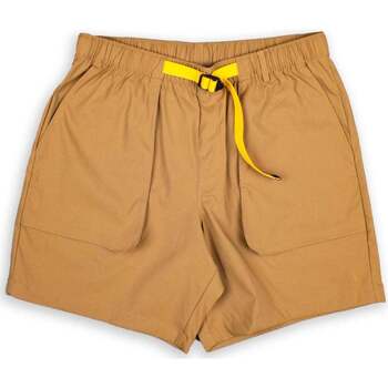 Abbigliamento Uomo Shorts / Bermuda The North Face Class Belted Short Marrone Marrone