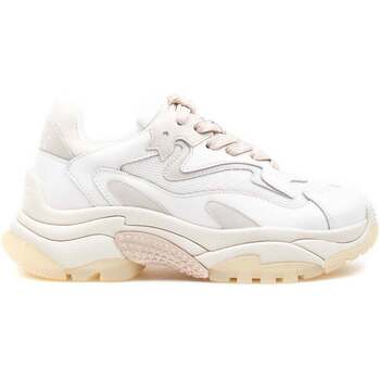 Scarpe Donna Sneakers Ash ict Combo Calf Nubuck Bianco Bianco