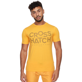 Abbigliamento Uomo T-shirts a maniche lunghe Crosshatch Meshouts Multicolore