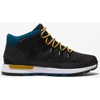 Scarpe Uomo Sneakers Timberland SCARPONCINO UOMO A5NEB Blu