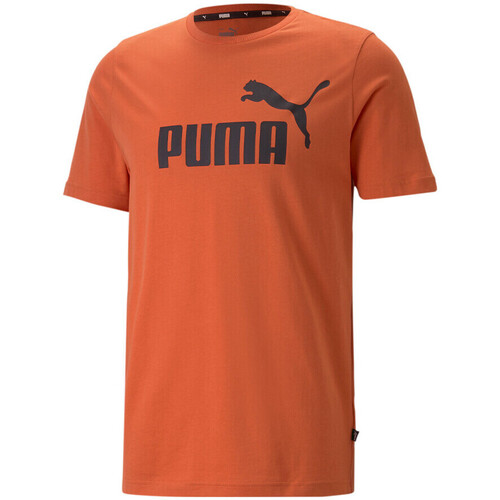 Abbigliamento Uomo T-shirt & Polo Puma 586667-94 Arancio