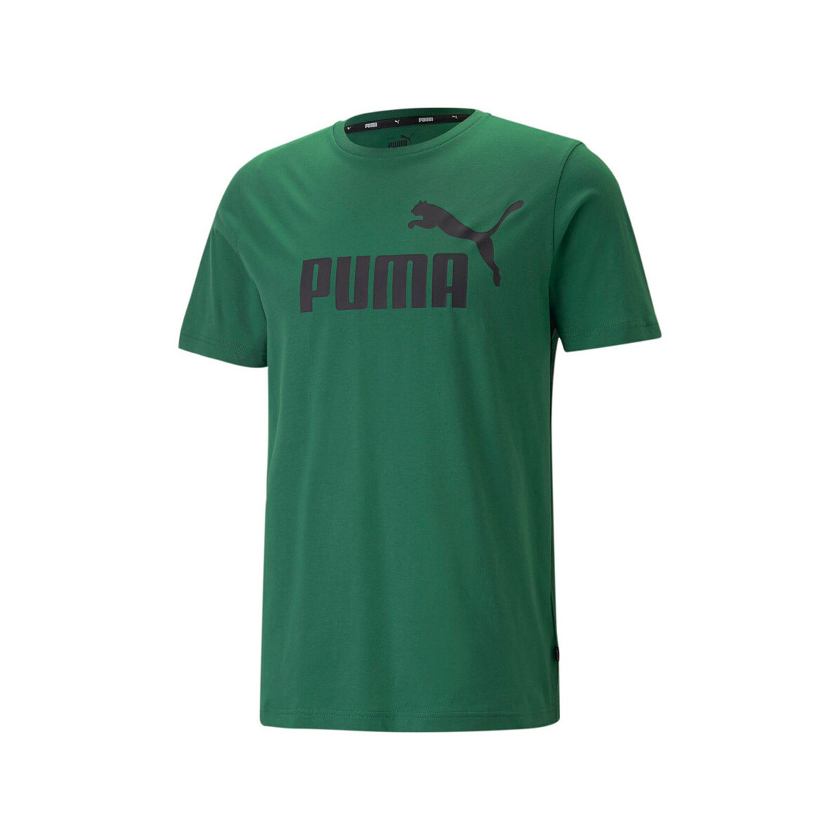 Abbigliamento Uomo T-shirt & Polo Puma 586667-46 Verde