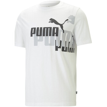 Abbigliamento Uomo T-shirt & Polo Puma 673378-02 Bianco