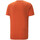 Abbigliamento Uomo T-shirt & Polo Puma 523414-94 Arancio