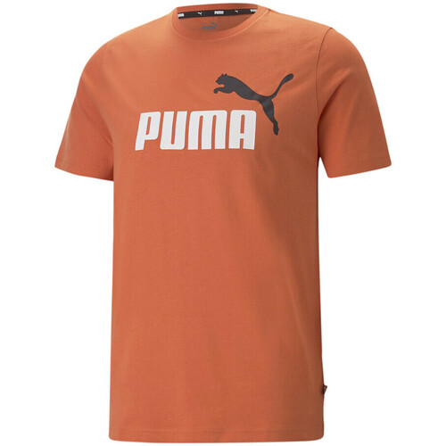 Abbigliamento Uomo T-shirt & Polo Puma 586759-94 Arancio