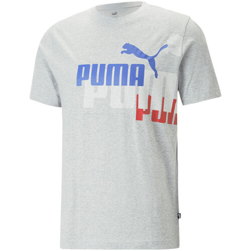 Abbigliamento Uomo T-shirt & Polo Puma 673378-04 Grigio