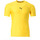 Abbigliamento Uomo T-shirt & Polo Puma 519809-06 Giallo