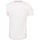 Abbigliamento Unisex bambino T-shirt & Polo Umbro 23/24 Bianco