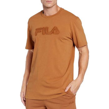 Abbigliamento Uomo T-shirt & Polo Fila FAM0279 70005-UNICA - T-shirt Marrone