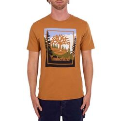 Abbigliamento Uomo T-shirt & Polo Timberland TB0A6F4KP471-UNICA - T-shirt L Altri