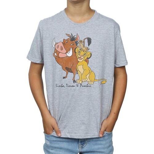 Abbigliamento Bambino T-shirt maniche corte The Lion King Classic Grigio