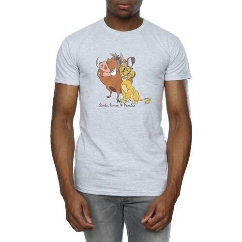 Abbigliamento Uomo T-shirts a maniche lunghe The Lion King Classic Grigio
