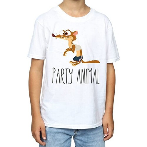 Abbigliamento Bambino T-shirt maniche corte Zootropolis Party Animal Bianco