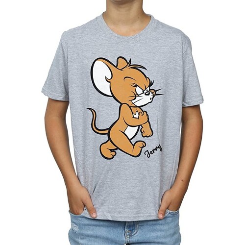 Abbigliamento Bambino T-shirt maniche corte Dessins Animés Angry Mouse Grigio
