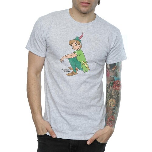 Abbigliamento Uomo T-shirts a maniche lunghe Peter Pan Classic Grigio