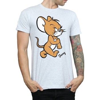 Abbigliamento Uomo T-shirts a maniche lunghe Dessins Animés Angry Mouse Grigio