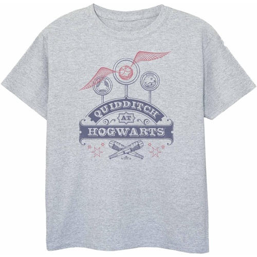 Abbigliamento Bambina T-shirts a maniche lunghe Harry Potter Quidditch At Hogwarts Grigio