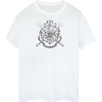 Abbigliamento T-shirts a maniche lunghe Harry Potter BI1217 Bianco