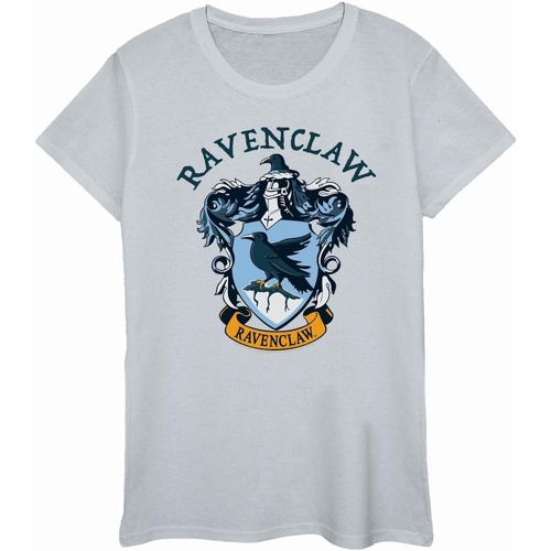 Abbigliamento Donna T-shirts a maniche lunghe Harry Potter BI1345 Grigio