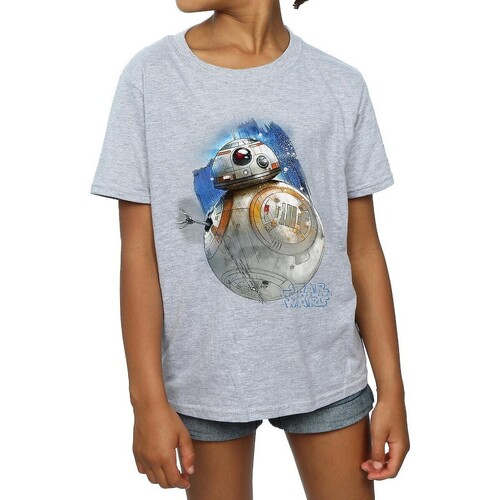 Abbigliamento Bambina T-shirts a maniche lunghe Star Wars: The Last Jedi BI1353 Grigio