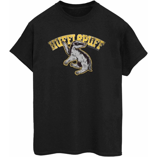 Abbigliamento Donna T-shirts a maniche lunghe Harry Potter BI1359 Grigio