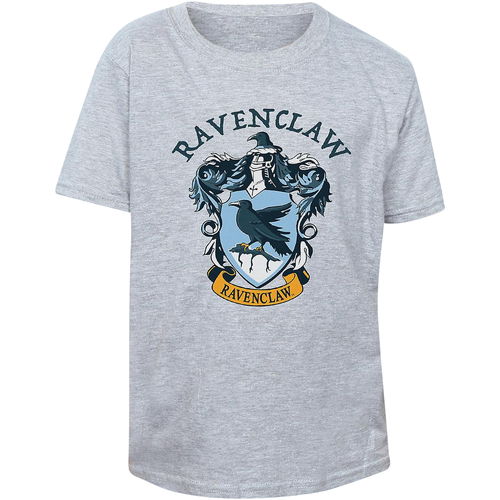 Abbigliamento Donna T-shirts a maniche lunghe Harry Potter BI1364 Grigio