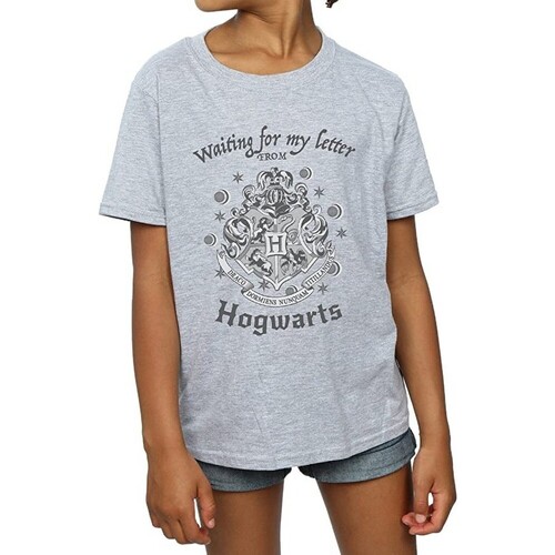 Abbigliamento Bambina T-shirts a maniche lunghe Harry Potter Waiting For My Letter Grigio