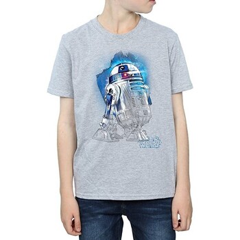 Abbigliamento Bambino T-shirt maniche corte Star Wars: The Last Jedi BI1372 Grigio