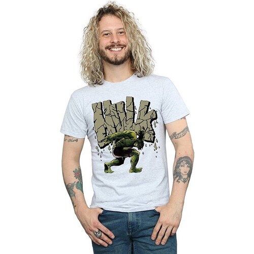 Abbigliamento Uomo T-shirts a maniche lunghe Hulk BI1388 Grigio