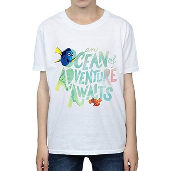 Abbigliamento Bambino T-shirt maniche corte Finding Dory Ocean Adventure Bianco