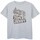 Abbigliamento Bambino T-shirt maniche corte Dessins Animés BI1401 Grigio