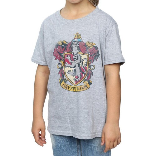 Abbigliamento Bambina T-shirts a maniche lunghe Harry Potter BI1445 Grigio