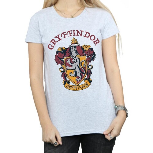 Abbigliamento Donna T-shirts a maniche lunghe Harry Potter BI1500 Grigio