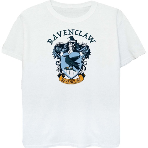 Abbigliamento Donna T-shirts a maniche lunghe Harry Potter BI1637 Bianco