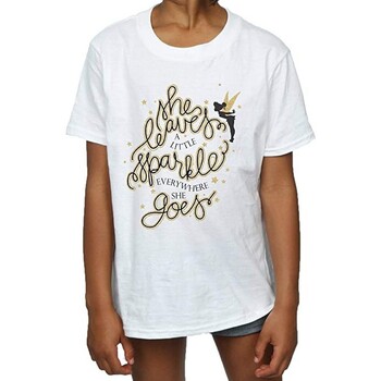 Abbigliamento Bambina T-shirts a maniche lunghe Tinkerbell BI1662 Bianco